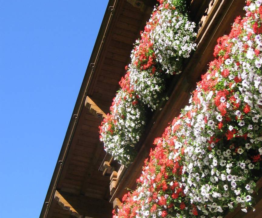 Photo of Others in Neustift Im Stubaital