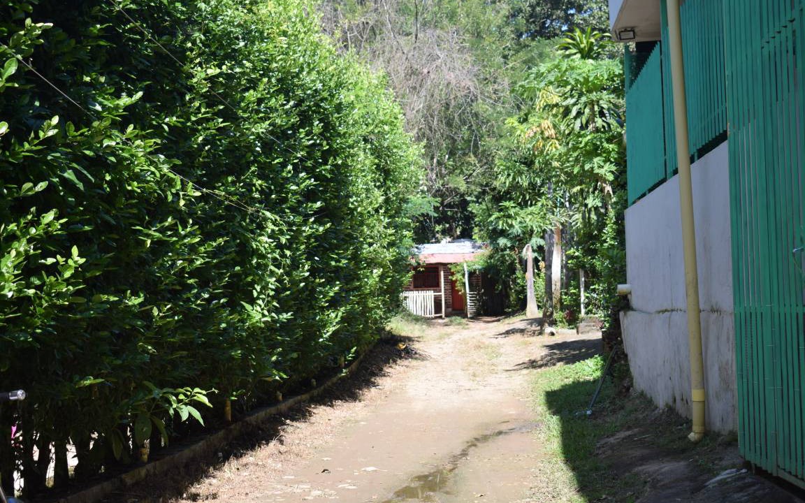 Photo of Others in Santa Marta