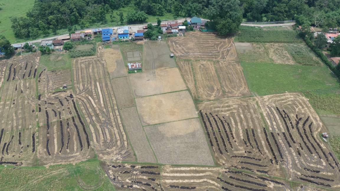 Photo of Others in Sauraha