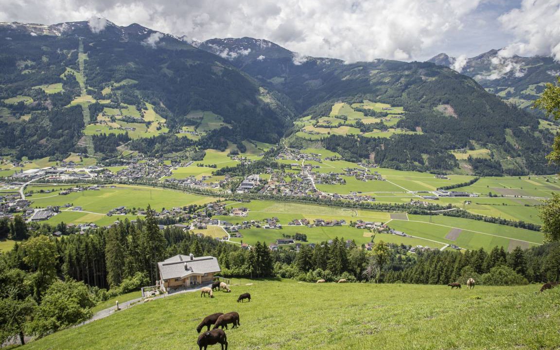 Photo of Others in Gattererberg