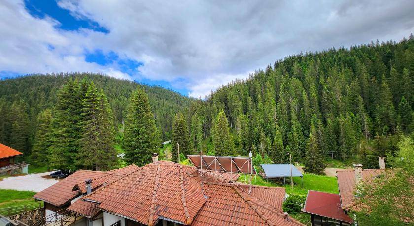 Photo of Others in Pamporovo