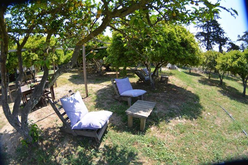 Photo of Others in Turgutreis