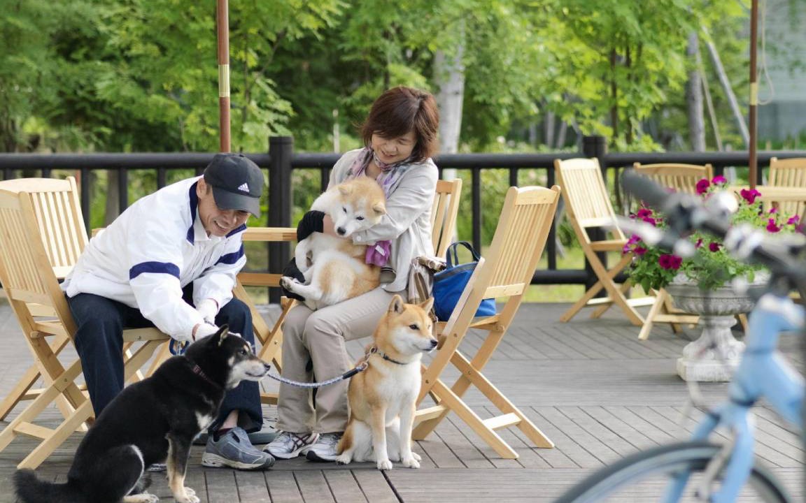 Photo of Others in Akankohan