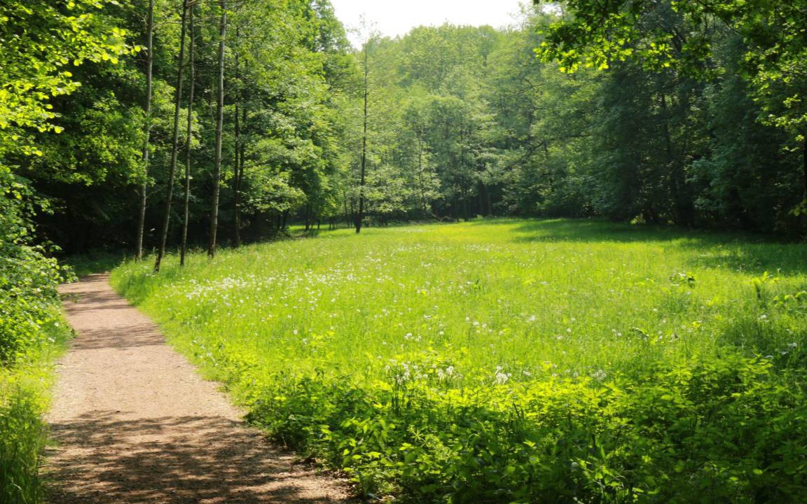 Photo of Outdoor in Rochlitz