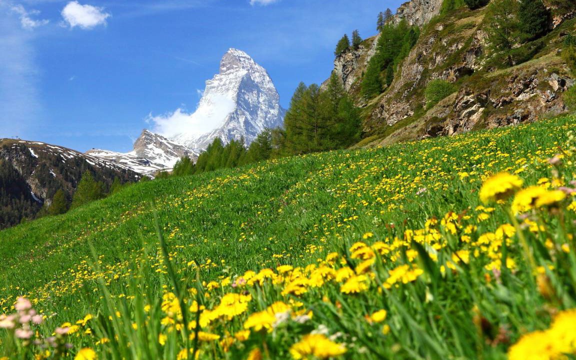 Photo of Others in Zermatt
