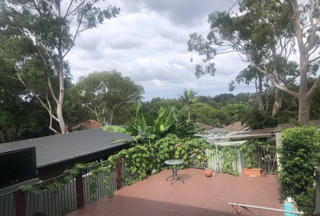 Photo of Others in Lane Cove
