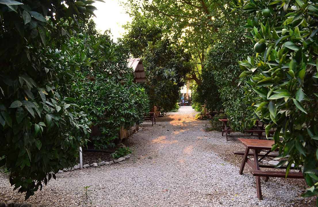 Photo of Others in Olympos