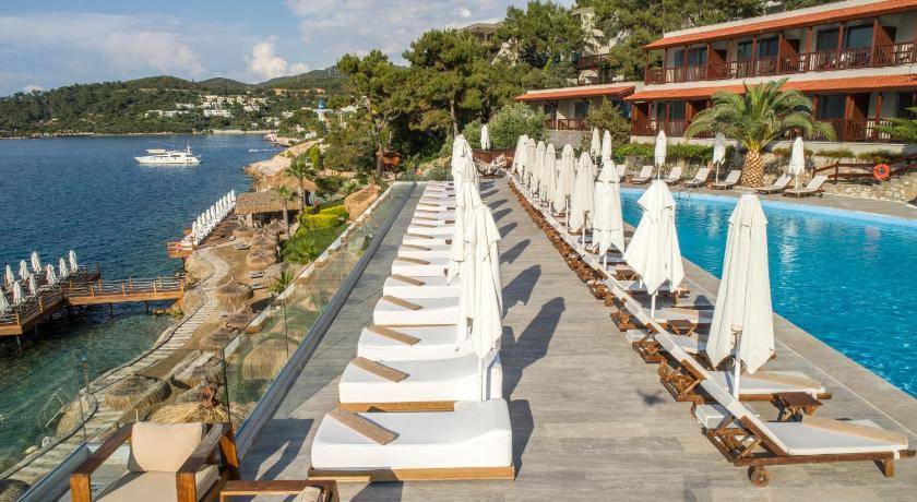 Photo of Others in Torba