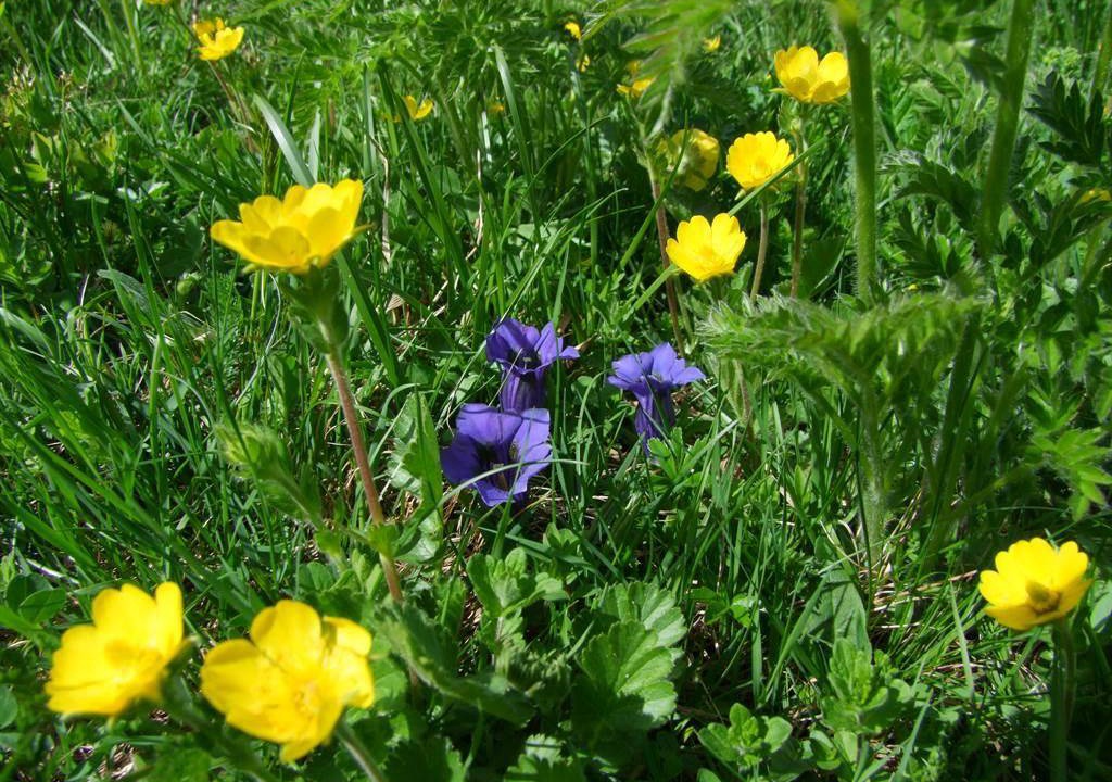 Photo of Outdoor in Bellwald