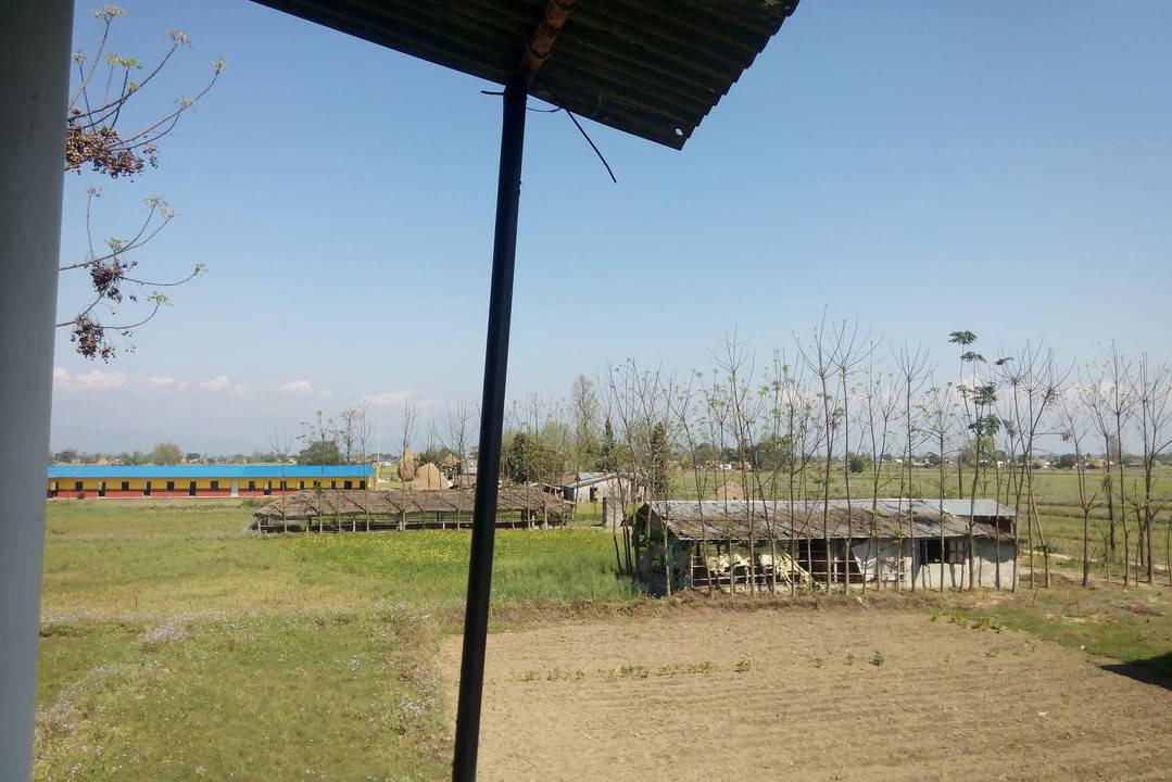 Photo of Others in Bharatpur