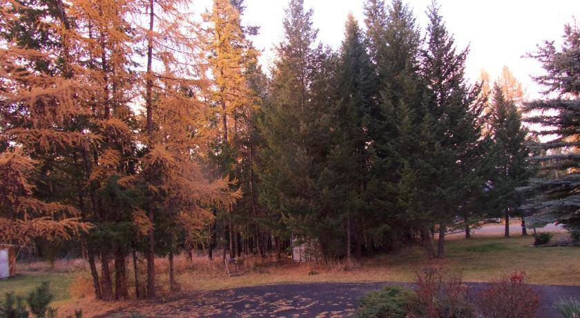 Photo of Others in East Kootenay