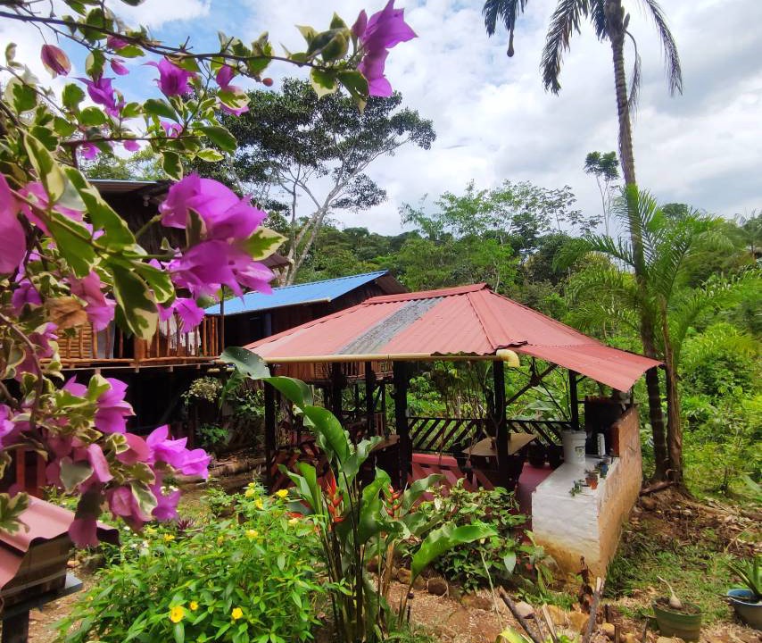 Photo of Others in Mocoa