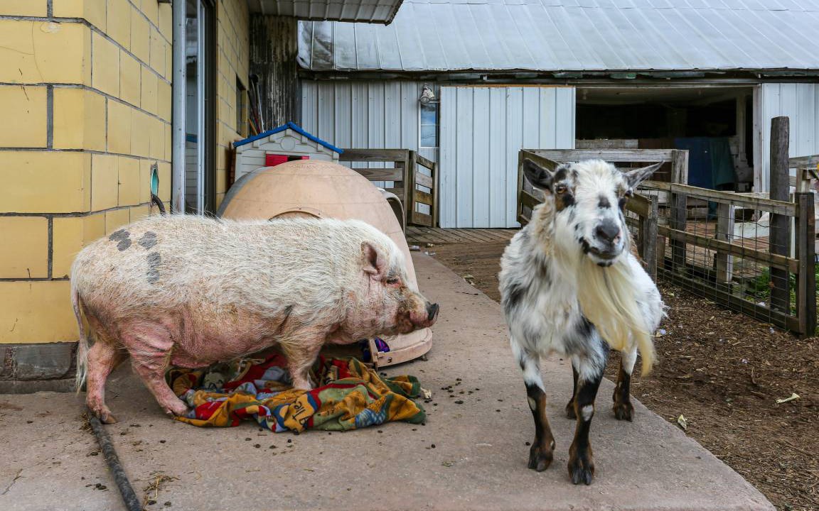 Photo of Others in White Mills