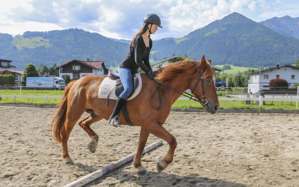 Photo of Others in Walchsee