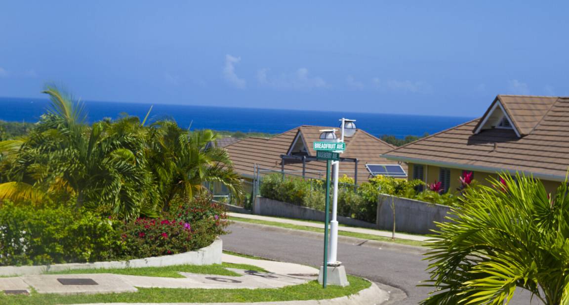 Photo of Others in St. Ann's Bay