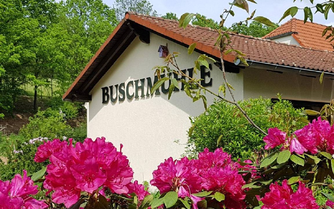 Photo of Others in Rochlitz