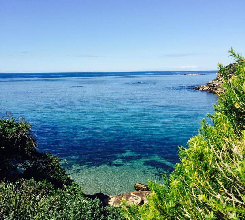 Photo of Others in Coogee