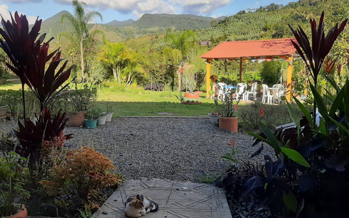 Photo of Others in Jardin