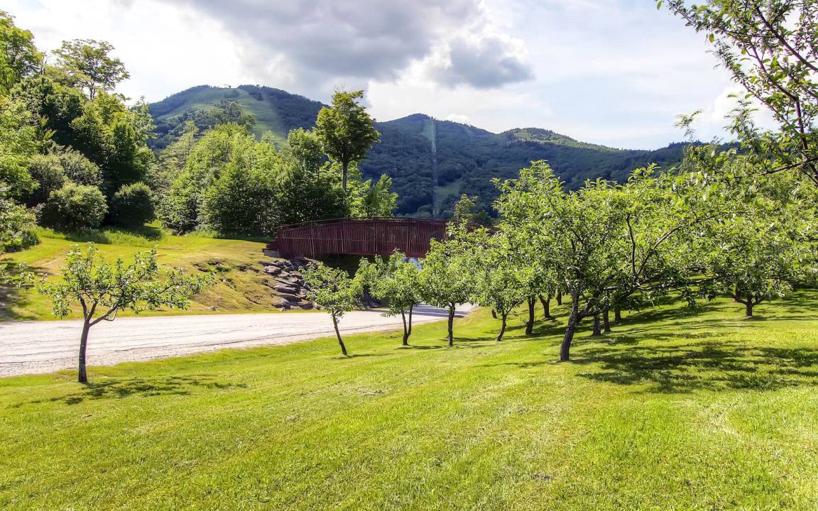Photo of Others in Central Vermont- Killington