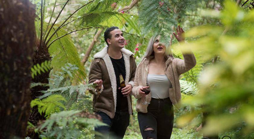 Photo of Others in Mount Dandenong