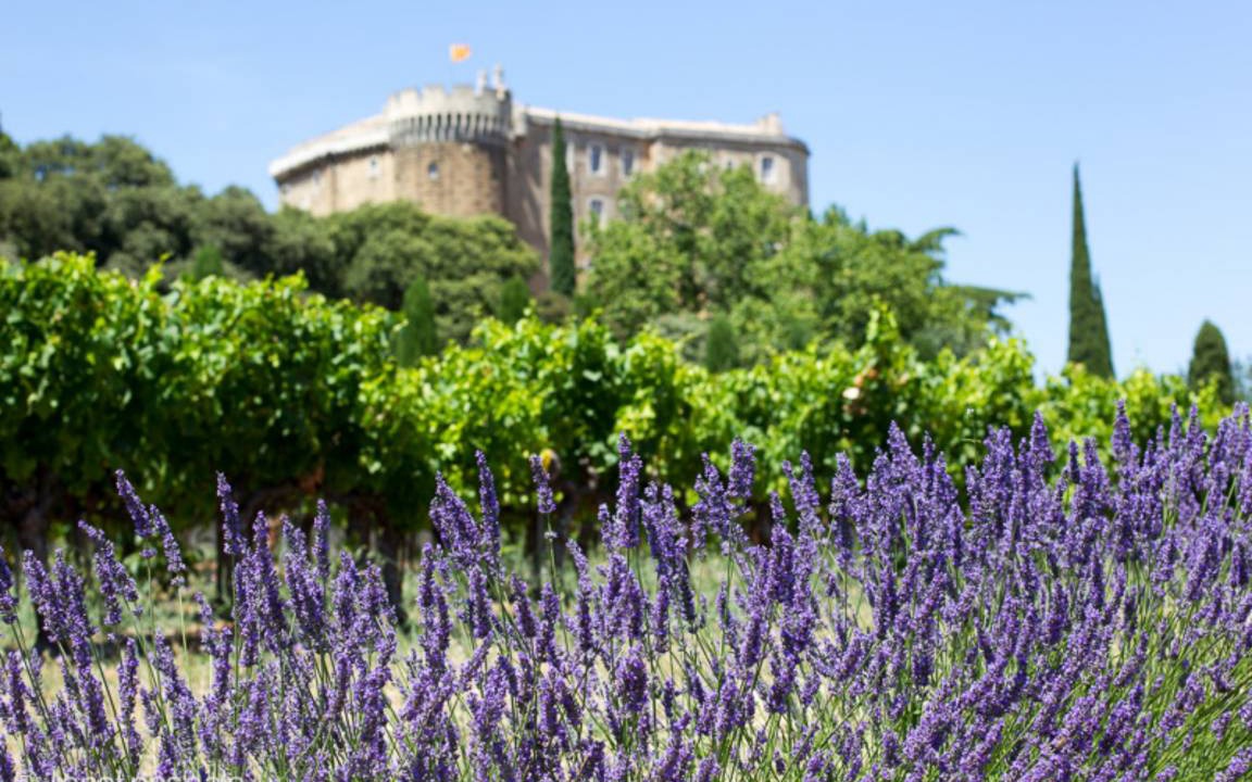 Photo of Others in Saint-Paul-Trois-Chateaux