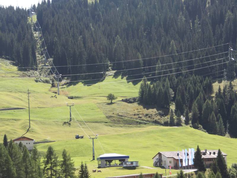 Photo of Others in Spluegen