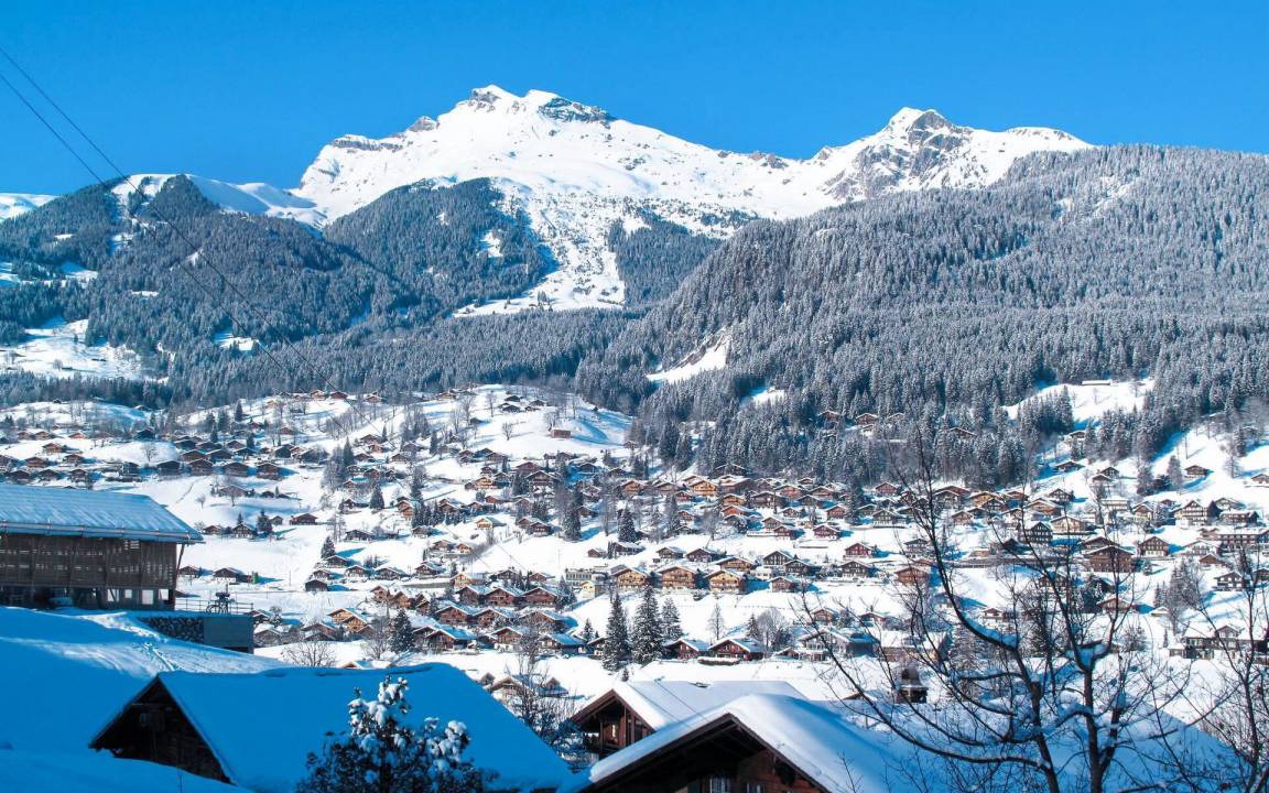 Photo of Others in Grindelwald
