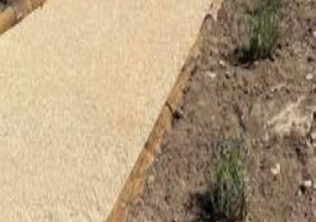 Photo of Others in Chambonas