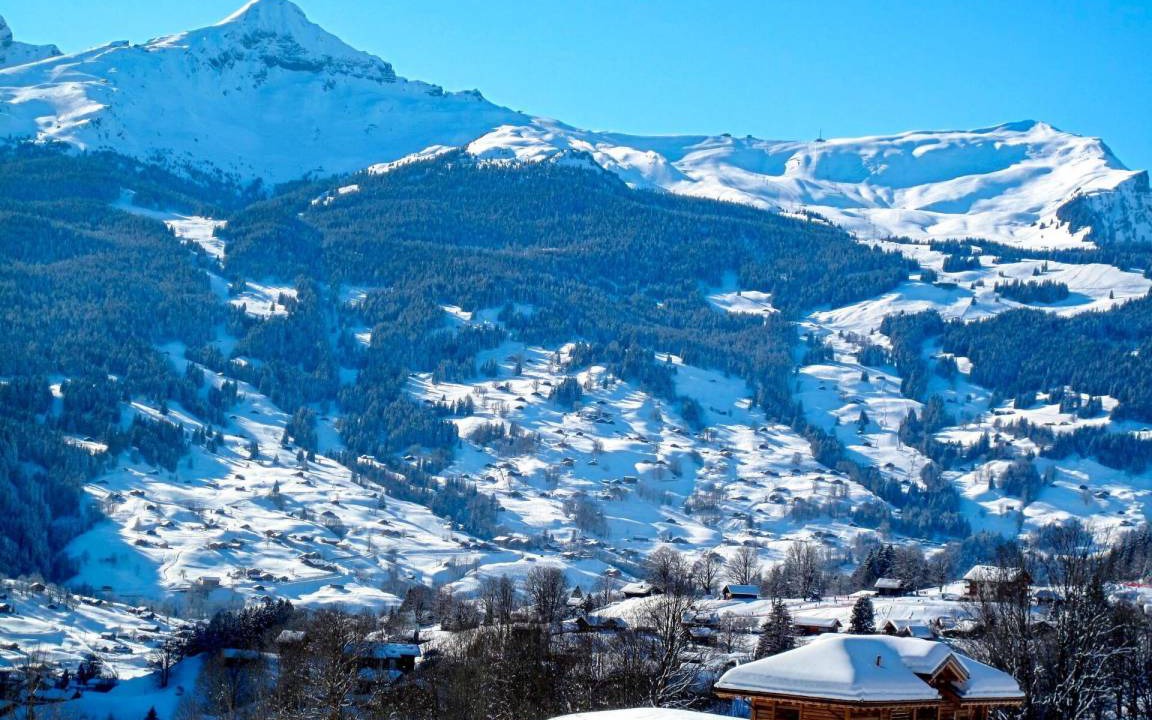 Photo of Others in Grindelwald