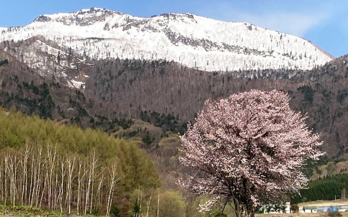 Photo of Others in Furano