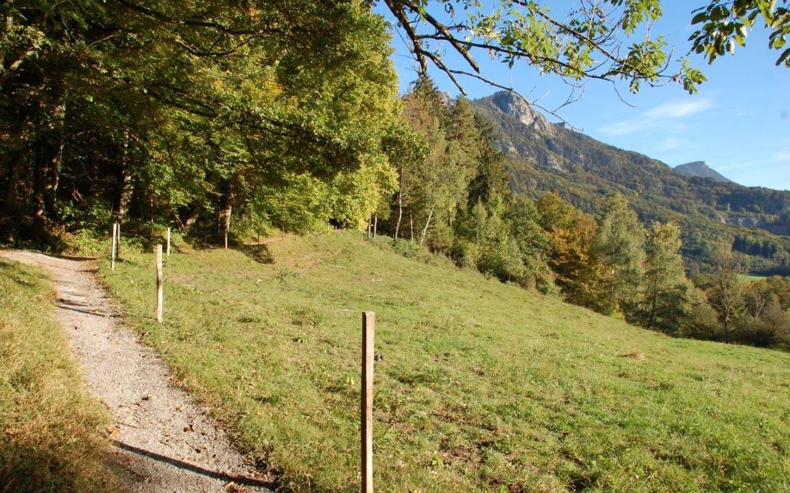 Photo of Others in Nussdorf am Inn