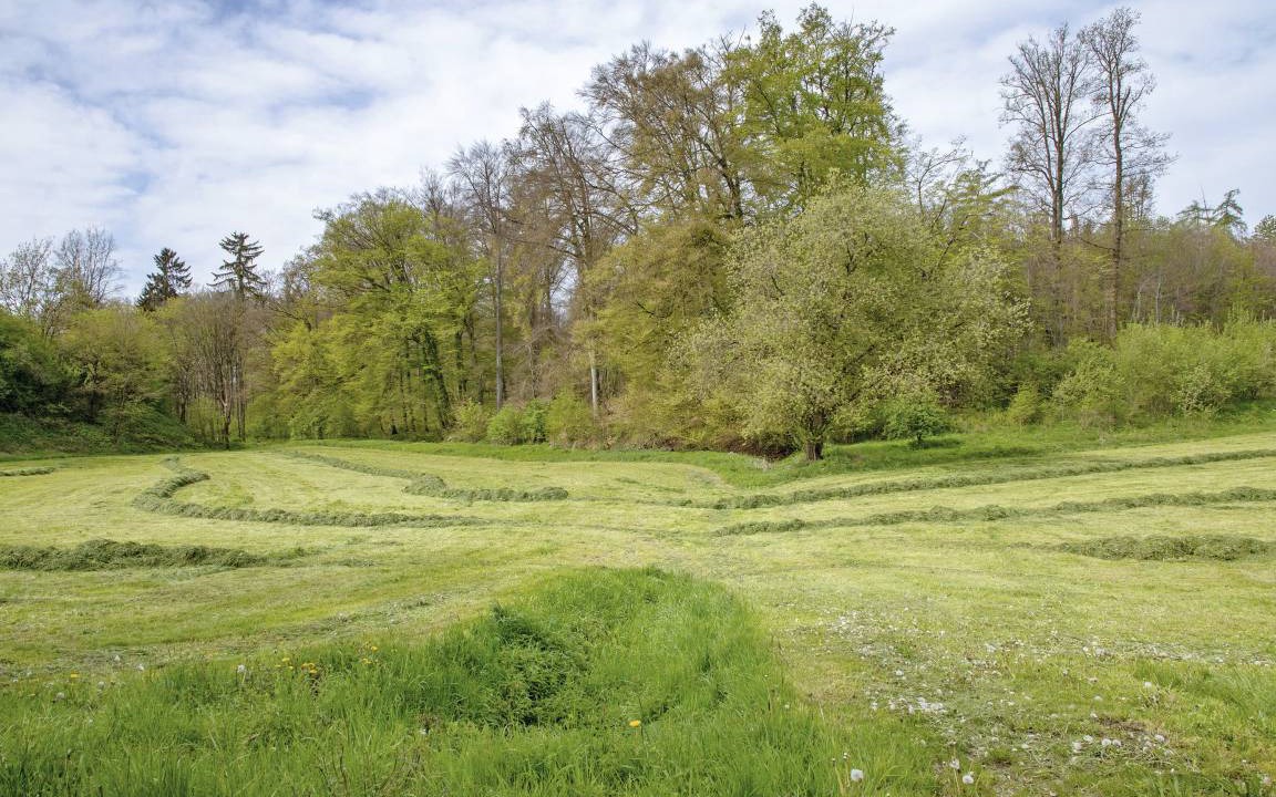 Photo of Others in Heldenfingen