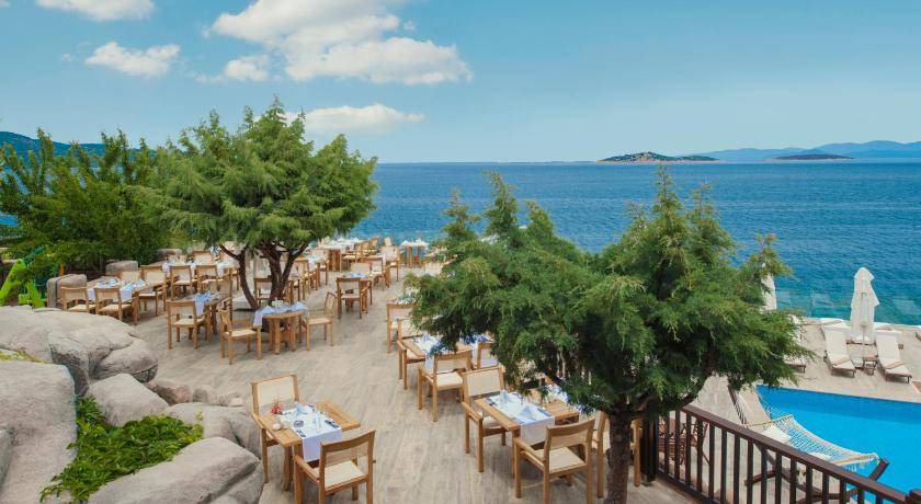 Photo of Others in Torba