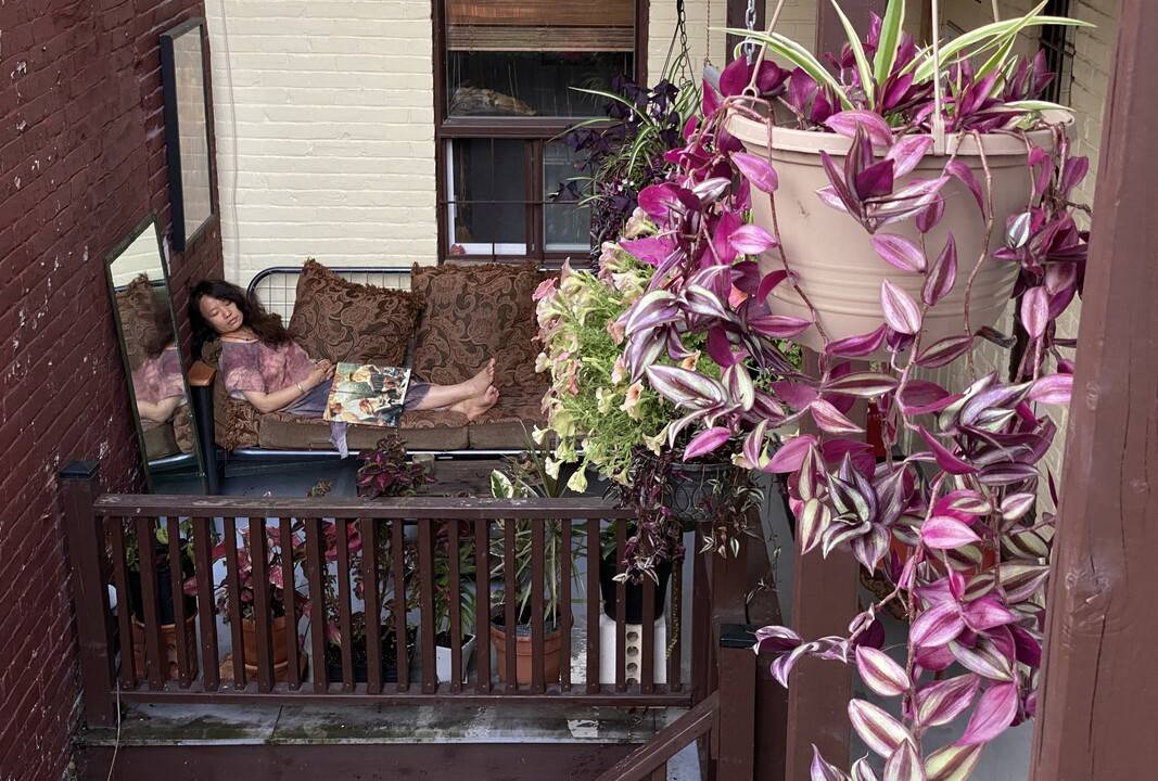 Photo of Others in Plateau Mont Royal