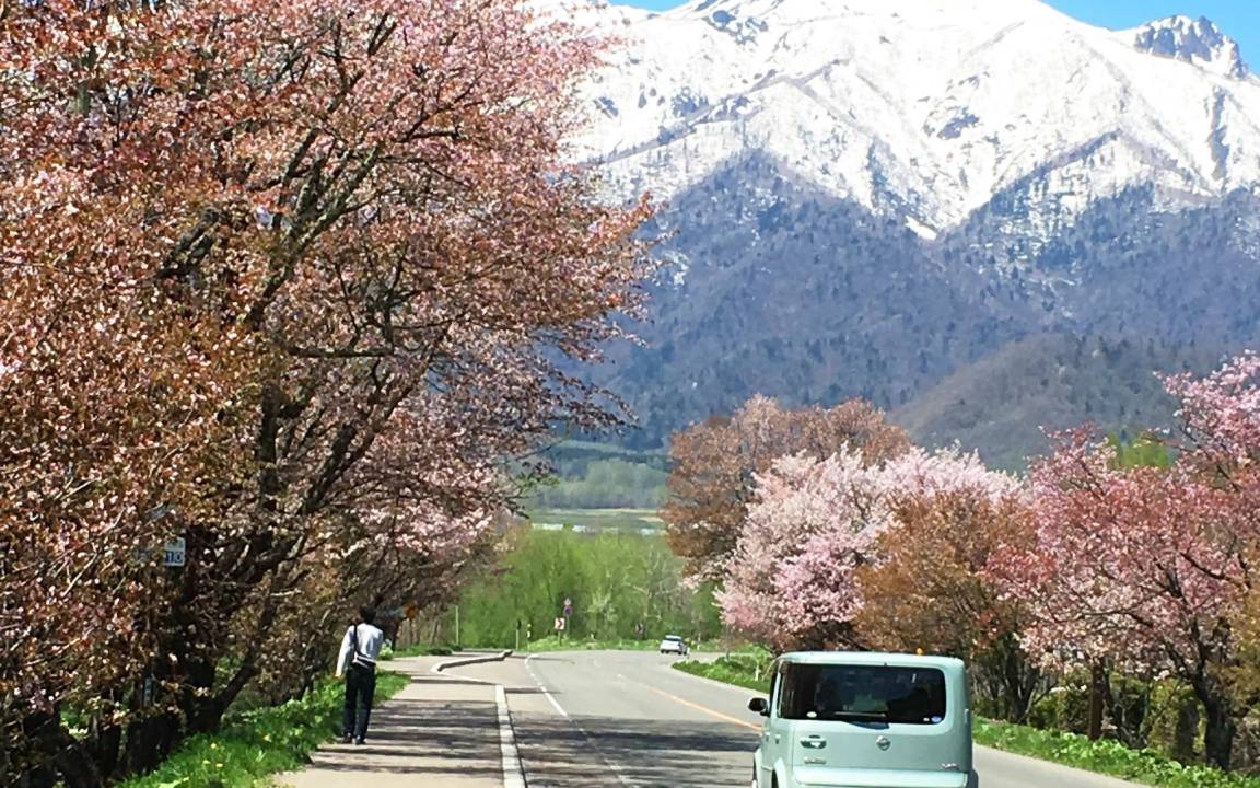 Photo of Others in Furano