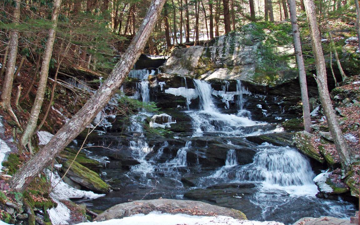 Photo of Others in Callicoon