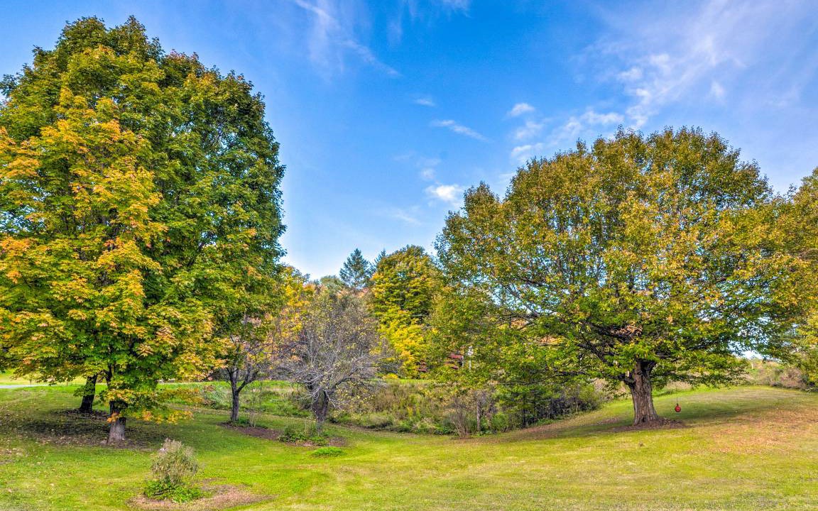 Photo of Outdoor in Walden