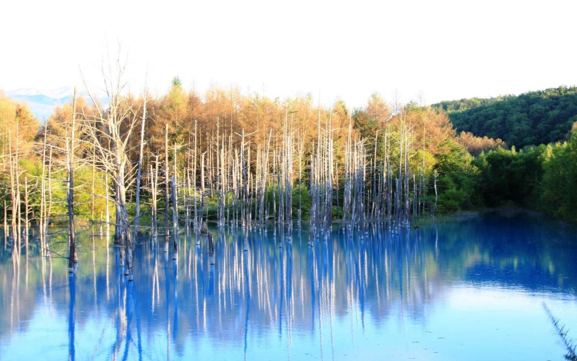 Photo of Others in Furano