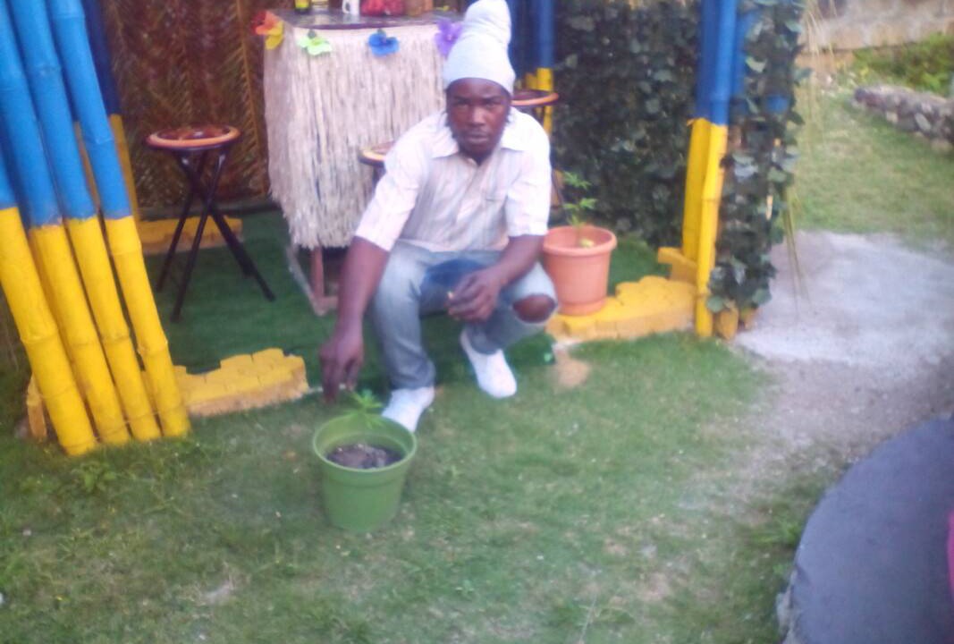 Photo of Others in Buff Bay