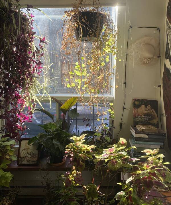 Photo of Others in Plateau Mont Royal
