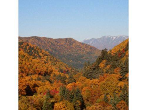Photo of Others in Kamikawa