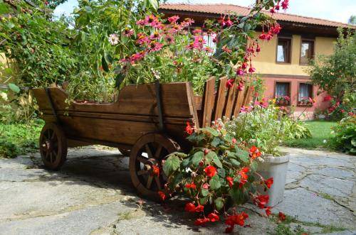 Photo of Others in Koprivshtitsa