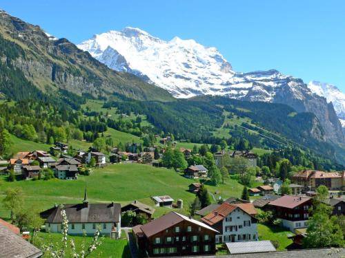 Photo of Others in Wengen
