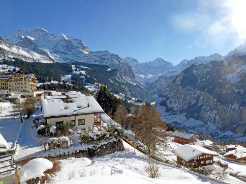 Photo of Others in Wengen