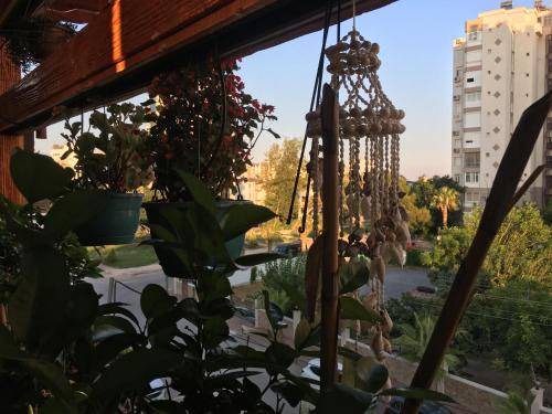 Photo of Others in Eski Lara