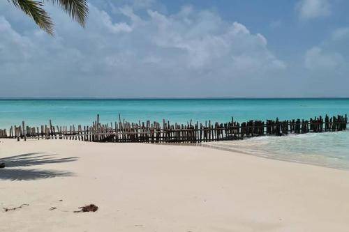 Photo of Others in Isla Mujeres