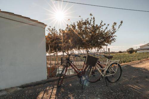 Photo of Others in Almassera
