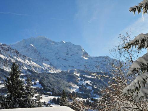 Photo of Others in Wengen