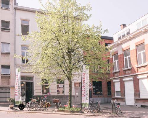 Photo of Others in Klein-Antwerpen
