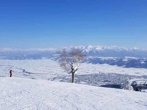 Photo of Outdoor in Furano